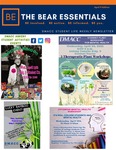 The Bear Essentials, April 11 2022 Edition by DMACC Student Life